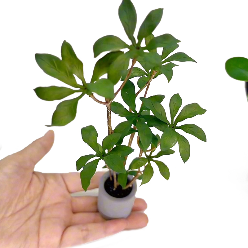 Bonsai Garden Decor - 1:6 casa delle bambole in miniatura