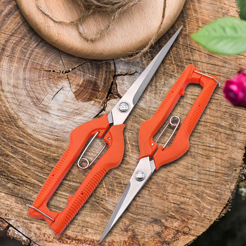 Forbici da Potatura Multiuso – - Bonsai Garden Knife recensione e prezzo