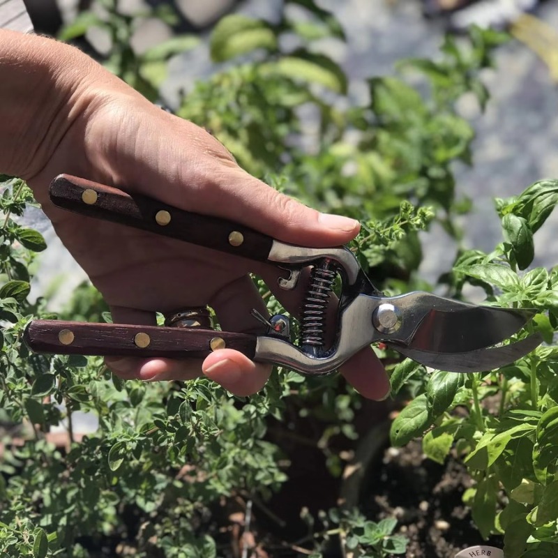 1 pezzo di forbici da potatura - Bonsai Garden Knife recensione e prezzo