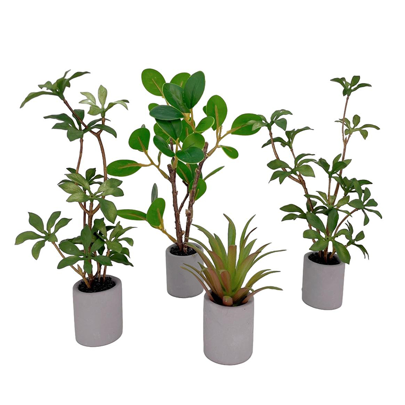 1:6 casa delle bambole in mini - Bonsai Garden Decor recensione e prezzo