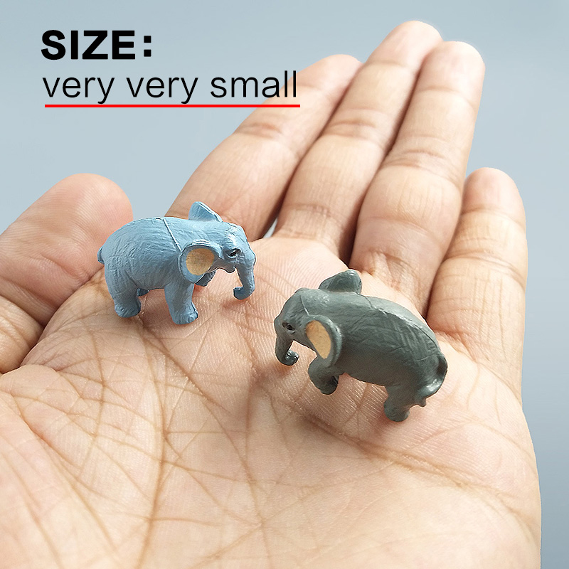 10 pezzi piccolo elefante bons - Japan Bonsai Garden recensione e prezzo