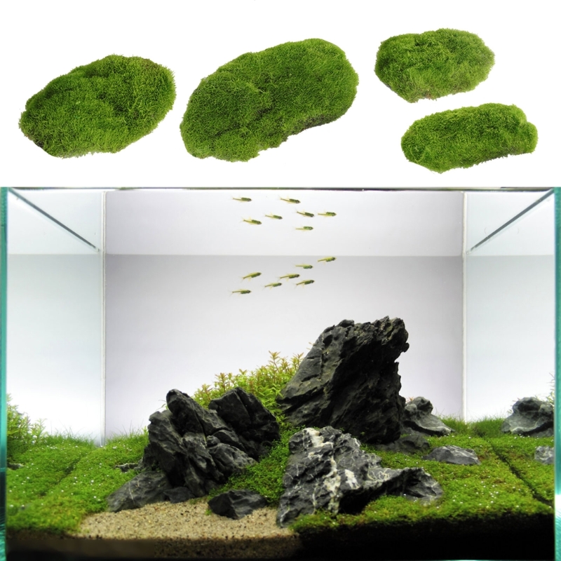 4 pezzi artistico muschio arti - Landscape Bonsai Garden recensione e prezzo