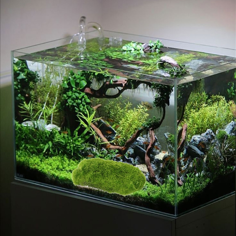4 pezzi artistico muschio arti - Landscape Bonsai Garden recensione e prezzo