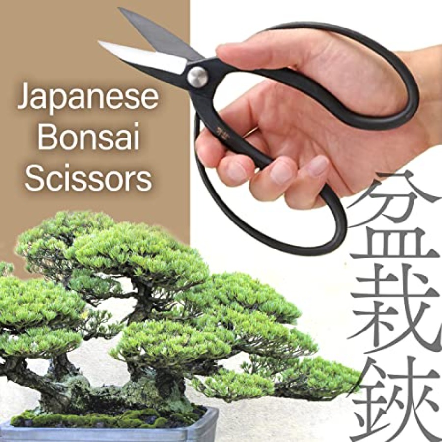 Forbici Giapponesi per Bonsai  - Japan Bonsai Garden recensione e prezzo