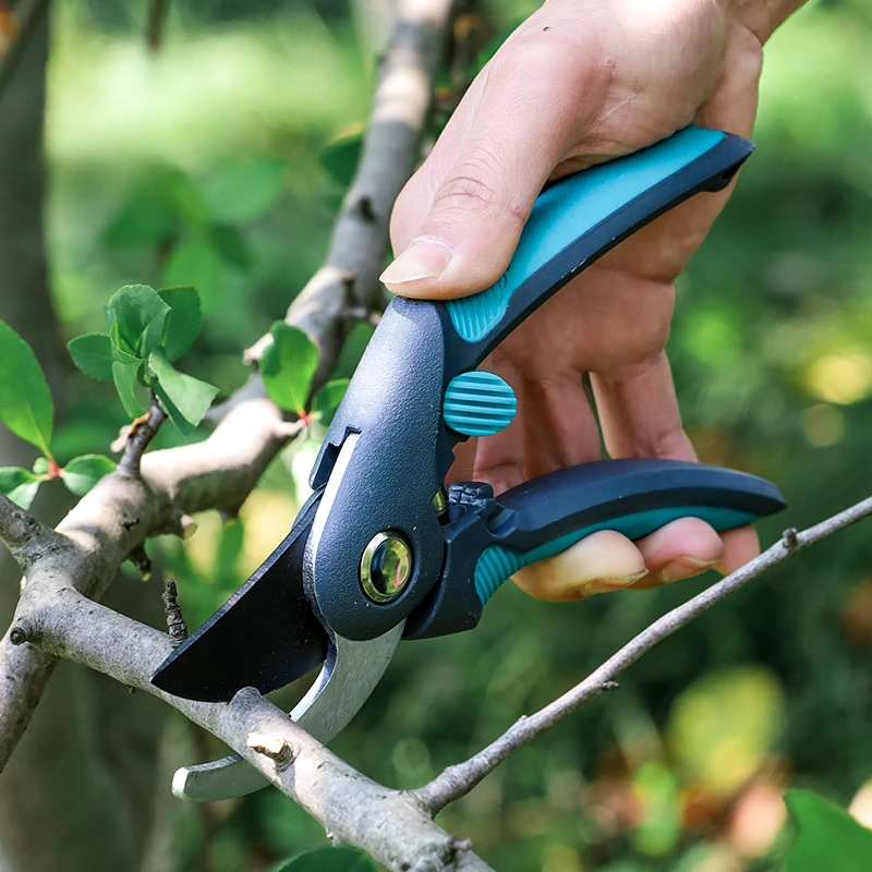 Forbici per potatura alberi da - Bonsai Gardener recensione e prezzo