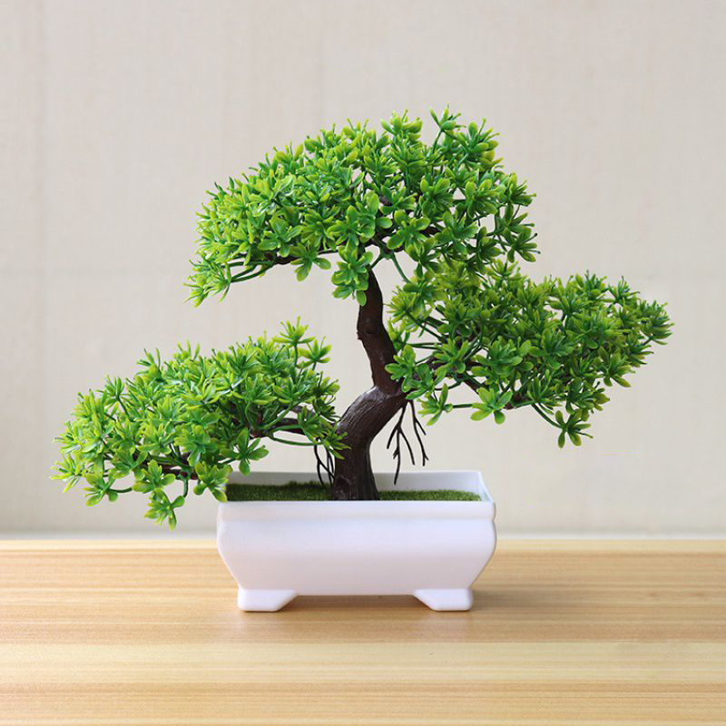 Bonsai Artificiale, Piante Sim - Bonsai Garden Table recensione e prezzo