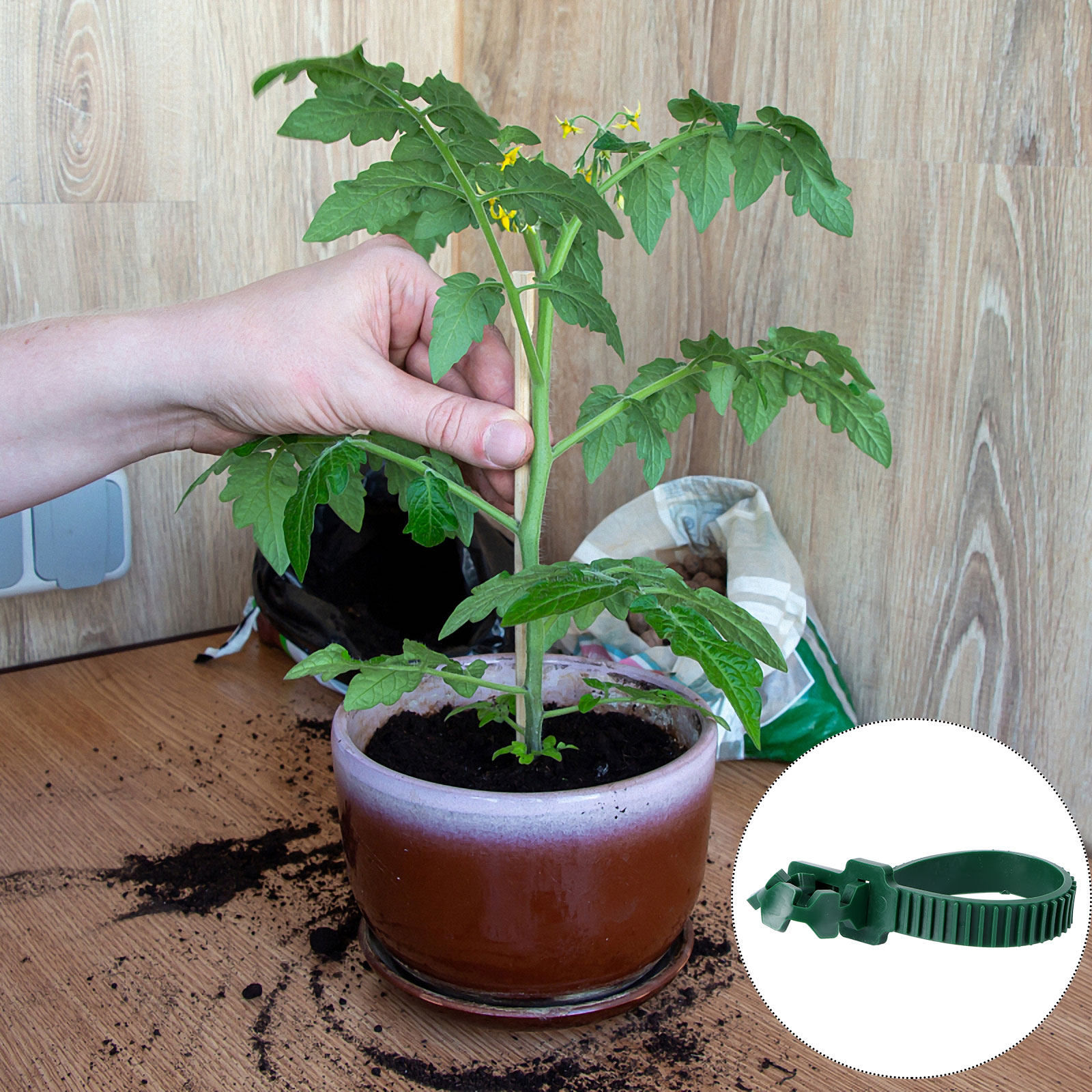 20 Pezzi di Clip di Fissaggio  - Bonsai Gardener recensione e prezzo