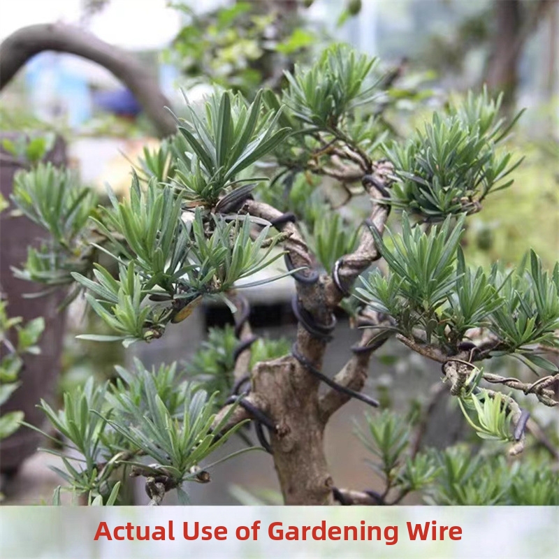Fili per Bonsai da 1,5 mm in A - Bonsai Gardener recensione e prezzo