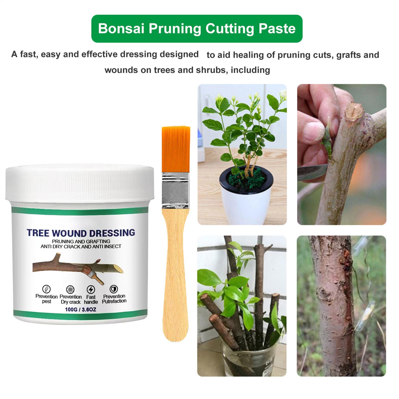 Sigillante per Ferite da Potat - Bonsai Gardener recensione e prezzo