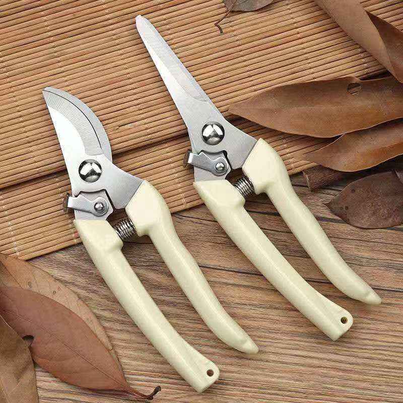 Forbici da Potatura in Acciaio - Bonsai Garden Knife recensione e prezzo
