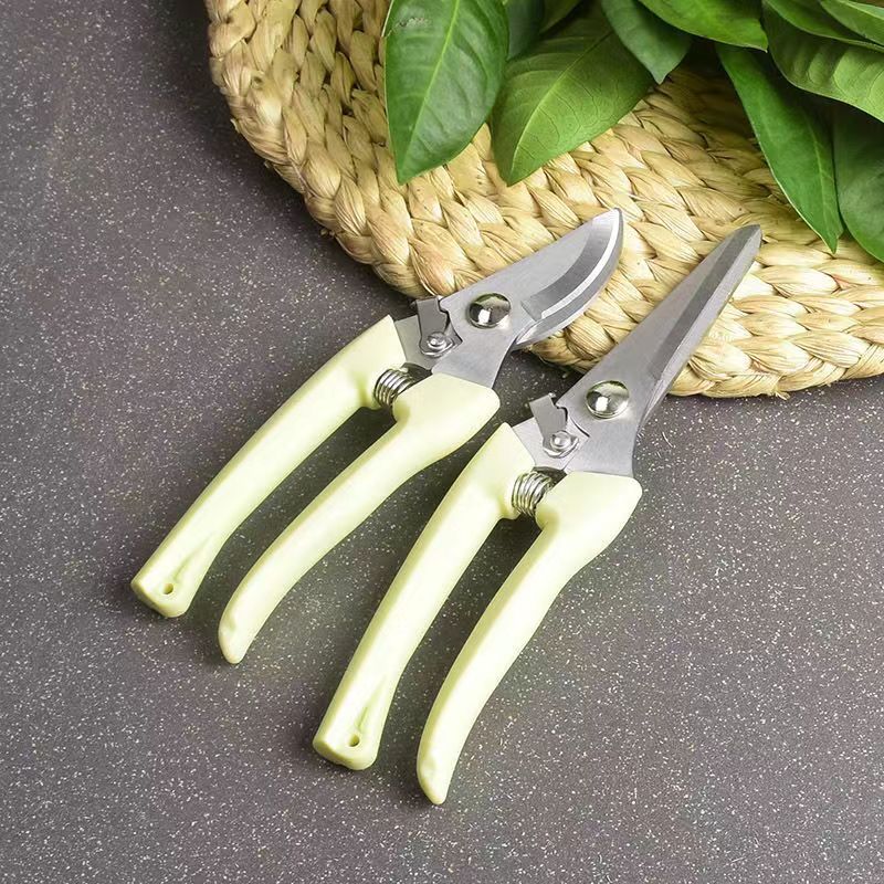 Forbici da Potatura in Acciaio - Bonsai Garden Knife recensione e prezzo