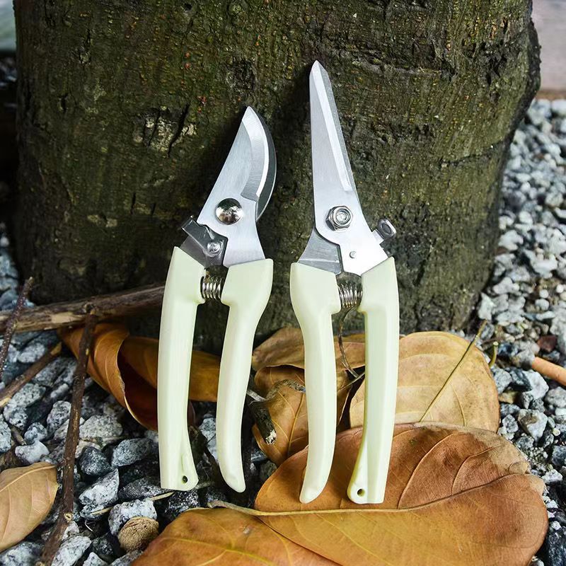 Forbici da Potatura in Acciaio - Bonsai Garden Knife recensione e prezzo