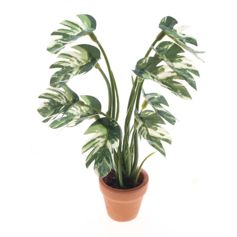 Nuovo. 1 Pezzo Pianta Verde Mo - Bonsai Garden Decor recensione e prezzo