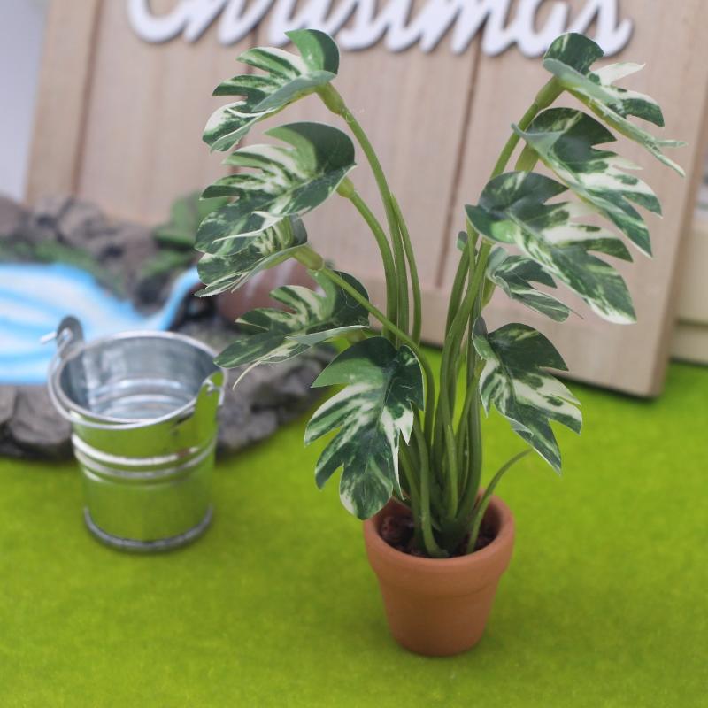 Nuovo. 1 Pezzo Pianta Verde Mo - Bonsai Garden Decor recensione e prezzo