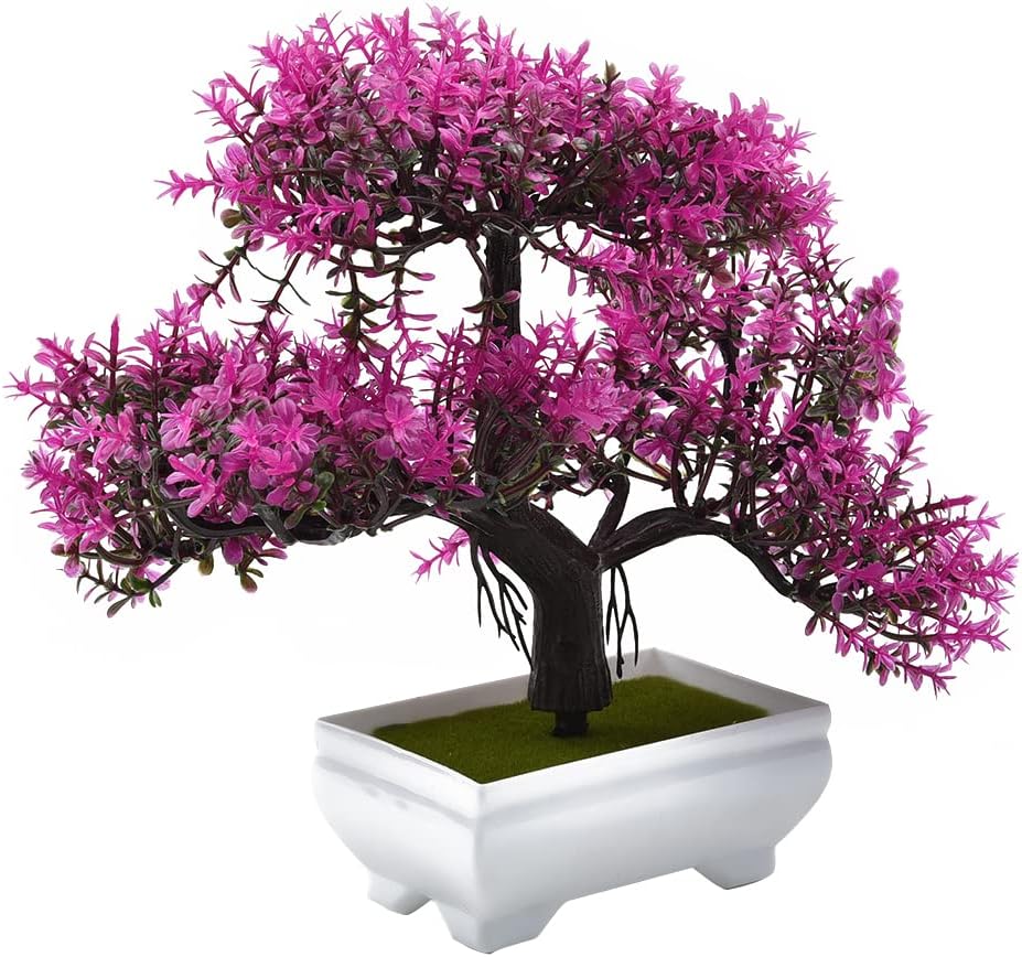 Piante artificiali Bonsai Pian - Bonsai Garden Table recensione e prezzo