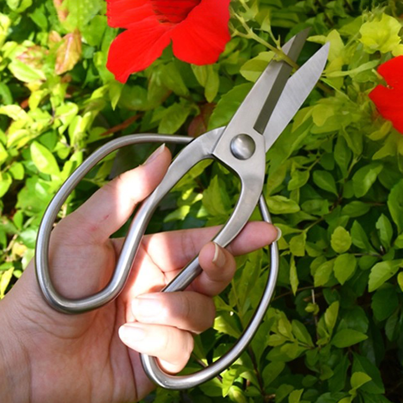 Cesoie da potatura in acciaio  - Bonsai Garden Knife recensione e prezzo