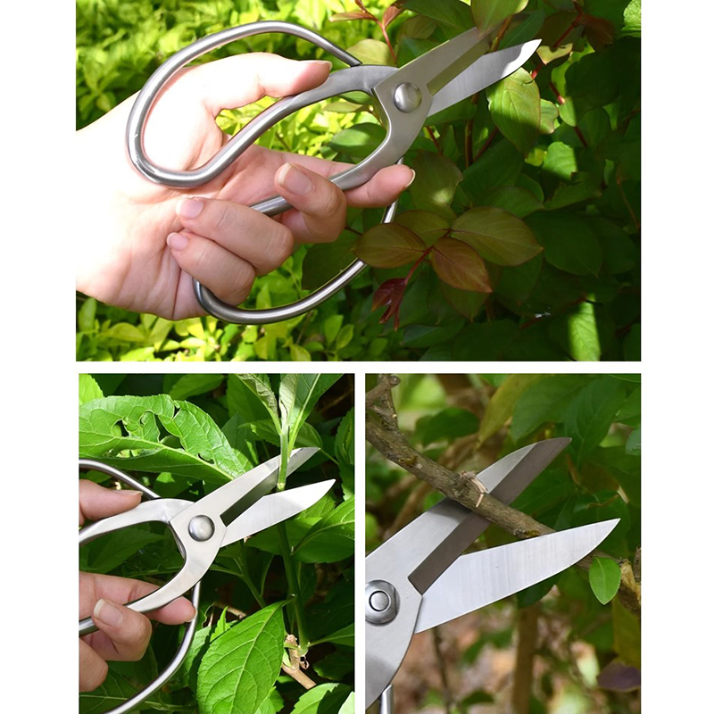 Cesoie da potatura in acciaio  - Bonsai Garden Knife recensione e prezzo